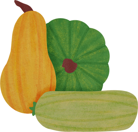 Flat Textured Simple Squashes Gourds Yellow Green